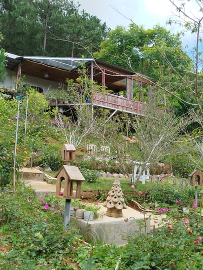 The image depicts a lush, multi-tiered garden with a two-story building at the rear, nestled on a hillside covered in dense vegetation and trees. The building features a covered balcony with a corrugated metal roof and bamboo-like siding. The garden is abundant with flowers, including pink and yellow roses, and various other plants and bushes. Several decorative objects are scattered throughout the garden, including two wooden birdhouses mounted on posts, a concrete tree-shaped sculpture, and several potted plants. In the background, tall pine trees dominate the landscape, and the sky above is overcast. The scene appears to be a tranquil, outdoor setting in the city of Trường An, Vietnam.