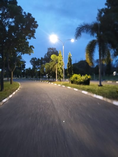 An asphalt road curves to the left through a landscape of trees and manicured grass under a twilight sky. The road is bordered by a white and grey curb. Streetlights illuminate the scene, casting pools of light on the road and grass. Trees of various sizes, including some palm trees, line the road, with a cluster of brightly lit bushes in the middle ground. The sky is a deep blue, transitioning from lighter hues near the horizon. The image appears to be taken from a moving vehicle due to the motion blur.