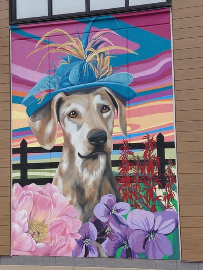 A vibrant mural on a building in Lexington, Kentucky, depicts a large dog wearing a blue feathered hat. The dog, a light brown breed with floppy ears and a black mustache, is the central subject. Behind the dog is a colorful, abstract background of swirling pink, blue, and purple stripes, suggestive of a sunset. In front of the dog, on the left, is a large pink peony, and on the right are red flowers and purple violets. A black wooden fence is visible behind the dog's head and in front of the floral elements. The mural is mounted on a building with horizontal brown siding, and a portion of a window frame with dark trim is visible at the top. The mural is an exterior decoration, likely for a business or public space.