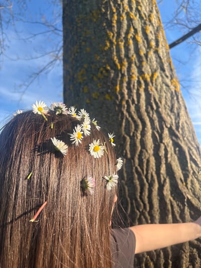 The image, likely taken in Beli Brod, Bulgaria, shows a person lying on their back, head toward the bottom of the frame, with daisies scattered in their brown hair. Above them is a large tree trunk, appearing to be supported or held by the person's arm, visible on the right side. The bark of the tree is rough and textured, with patches of what appears to be lichen. Above the tree trunk, a blue sky with sparse branches is visible.