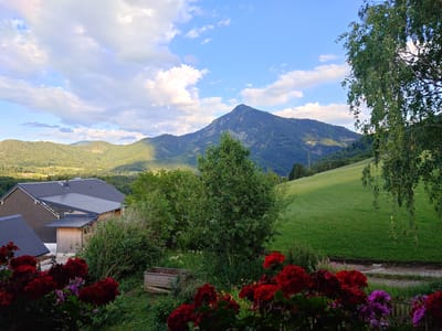 This image depicts a picturesque landscape scene in Hinterebenau, Austria, likely captured during the late afternoon or early evening. The sky is a vibrant blue, dotted with fluffy white clouds, suggesting fair weather.

The foreground is dominated by a cluster of deep red and purple flowers, likely geraniums, adding a splash of color to the scene. Behind the flowers, a wooden planter box filled with soil sits amidst lush green foliage. To the left, a portion of a residential building is visible, featuring a dark grey, steeply pitched roof and wooden accents.

The midground transitions into a dense collection of green trees and bushes, creating a natural barrier. Beyond this, a rolling green hillside slopes upwards, with a distant mountain range forming the backdrop. The largest mountain, in the center of the frame, is covered in dark green trees and appears majestic against the sky. The overall setting is tranquil and serene, evoking a sense of rural beauty and peacefulness. The presence of the building suggests a domestic setting within this natural environment. There is no visible text in the image.