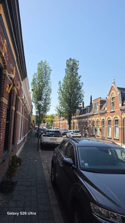 The image depicts a street scene in Vlaardingen, Netherlands, on a clear, sunny day. The perspective is from a low angle, looking down a narrow street lined with brick buildings and parked cars.
On the left side of the street, a row of brick buildings with decorative yellow accents and dark-framed windows runs along the sidewalk. A few potted plants are visible on the sidewalk in front of these buildings.
The street itself is paved with asphalt and has cars parked along its right side. In the foreground, a dark-colored SUV is parked, and a white SUV with a Dutch license plate (JSF-25-P) is parked further down the street. Several other cars are visible in the distance. Two tall, slender trees with full green canopies stand on the right side of the street, between the parked cars and the buildings.
The buildings on the right side of the street are also made of brick, with pitched roofs and various window styles. Some of these buildings have decorative yellow banding above the windows, reminiscent of the architecture on the left. Orange flags or banners are strung between some of the buildings in the distance.
The sky is a clear, bright blue. The overall impression is a typical residential street scene in a European town. A watermark in the bottom left corner of the image reads "Galaxy S26 Ultra."