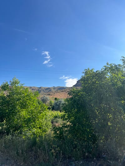 This is a vertical, outdoor, eye-level shot of a natural landscape in Malishka, Armenia, on a clear day with a bright blue sky and a few wispy white clouds. In the foreground, lush green trees flank the sides of the frame, with their leaves dappled by sunlight. The ground is covered in dry grasses and some rocky patches. In the middle ground, the landscape transitions to rolling hills covered in dry, golden vegetation and scattered trees, some with silvery-green leaves. A few power lines are visible spanning across the upper portion of the sky. The background consists of larger, more rugged hills, suggesting a mountainous or hilly terrain. The scene conveys a sense of peaceful, rural nature. There are no people or animals visible in the image.