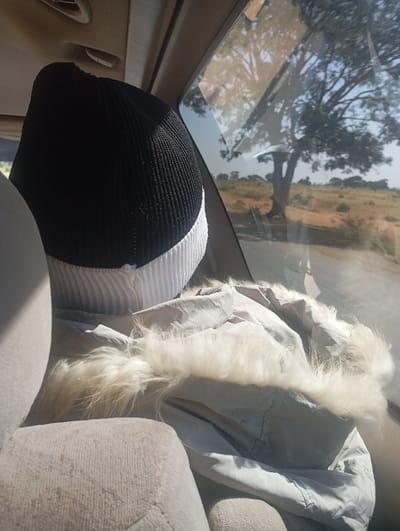 The image depicts the interior of a vehicle, looking towards the passenger-side window, in Kwagal, Nigeria. In the foreground, the back of a person's head, topped with a black ribbed beanie featuring a white ribbed brim, is visible. Adjacent to the person, on what appears to be another seat or surface, lies a light grey, possibly crumpled, jacket adorned with cream-colored fur trim. The vehicle's light-colored fabric headliner and a portion of a beige or light grey seat are also visible. Through the vehicle window, a dry, open landscape is observed under a clear, bright sky. A large, prominent tree with sparse foliage stands in the mid-distance on brownish-yellow ground, indicative of a savanna environment. Additional smaller trees and low vegetation are scattered across the distant horizon. No explicit actions or interactions are occurring.