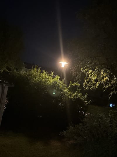 The image shows a streetlamp illuminating trees and a building at night in Fulda, Germany. The streetlamp is a modern, white fixture, casting a bright light upwards and outwards. The light illuminates the leaves of several trees, some of which appear to be deciduous and in full foliage. The trees are dense and create a dark backdrop against the night sky. In the background, a building with a dark roof is visible behind the trees. The sky is dark, with only a few faint stars visible. The overall scene is dark and atmospheric, typical of a nighttime urban environment.