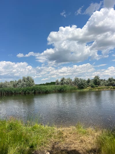 The image depicts a tranquil natural scene alongside a body of water. The primary subjects are the water itself, the lush green vegetation lining its edge, and a backdrop of a bright blue sky dotted with fluffy white clouds.
The setting appears to be a body of water, possibly a river or a lake, with a well-defined bank covered in a mix of green grass and drier, yellowish vegetation. A line of trees, with silvery-green foliage, forms a backdrop to the grassy bank, suggesting a rural or natural environment. The water is calm, with ripples indicating a gentle breeze.
The sky is a vibrant blue, characteristic of a clear day, and is adorned with numerous cumulus clouds. These clouds, ranging from pure white to light grey, are scattered across the sky, creating a dynamic and aesthetically pleasing contrast with the blue.
There is no visible activity or event taking place; the image conveys a sense of stillness and peace. The time of day is likely daytime, given the bright sunlight illuminating the scene and the clear sky. The weather appears to be pleasant and sunny.
Notable details include the texture of the water's surface, the varying shades of green in the grass, and the distinct shapes of the clouds. The image evokes a feeling of serenity and natural beauty.
No visible text is present in the image. The location context provided places this scene in Levadivka, Ukraine.