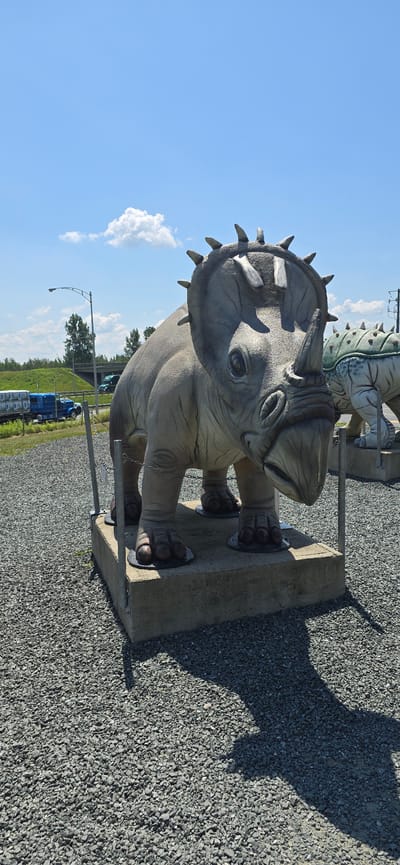 This is a photograph of a dinosaur statue, likely part of an outdoor exhibit. The statue is of a triceratops, depicted with its head lowered, appearing to be walking. It is made of a grey, textured material resembling concrete or fiberglass, and is mounted on a concrete base. The statue has a large frill around its head adorned with spikes, and three horns. Its eyes are visible, and its feet are detailed with claws. Metal poles and chains are attached to the statue, possibly for support or to secure it.
In the background, another dinosaur statue, a stegosaurus with a green back and plates, is partially visible. The setting is outdoors, with a clear blue sky and scattered white clouds. The ground is covered in small grey gravel. To the right of the triceratops, a large shadow is cast, indicating it is daytime, likely mid-morning or afternoon due to the angle of the sun. Further in the background, there are trees, a road with cars and a blue truck, and a lamppost. The location is identified as Saint-Léonard-d'Aston, Canada. The overall impression is a sunny day at an outdoor attraction. There is no visible text in the image.