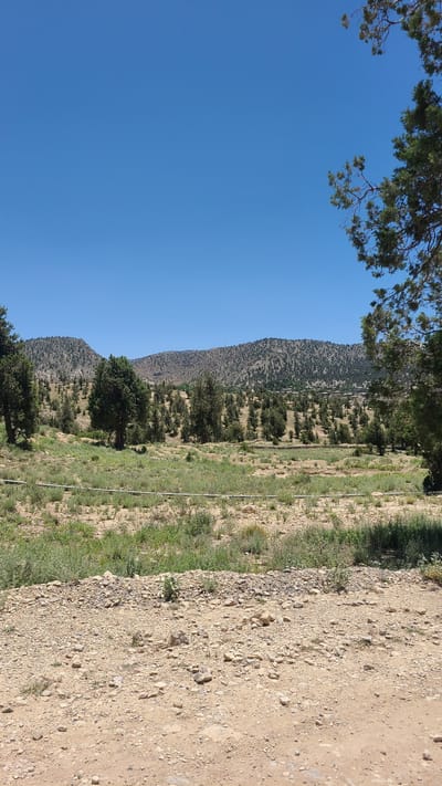 The image shows a landscape in Ziarat, Pakistan. The sky is clear blue with tree branches in the upper left corner. A mountain range covered with sparse vegetation stretches across the midground. In the foreground, there is a dirt road with small rocks, transitioning into a grassy field with scattered trees and vegetation. The scene appears to be a natural, outdoor environment.