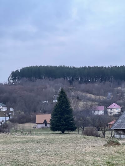 The image depicts a rural landscape in Dulovine, Montenegro, under an overcast sky. The upper third of the frame is dominated by a light grey-blue sky with indistinct cloud cover. A dark green coniferous forest crowns a prominent hill, forming a horizontal line across the middle distance. Below this forest, the hillside slopes downwards, covered predominantly by bare deciduous trees and shrubs, indicating a dormant season.
Scattered across the hillside are several residential structures. In the left midground, a multi-story white house with a dark roof is visible. Further right, two houses with light pink gabled roofs and white facades are situated on the slope. Near the far right edge, a single-story structure with a weathered, dark grey roof and visible wooden construction elements stands.
A large, dark green conifer tree, likely a fir or spruce, stands centrally in the lower midground, rooted in a grassy field. To its immediate left, a smaller, light-colored house with a distinct orange-brown A-frame roof is present. The foreground consists of a relatively flat, dry grassy field, predominantly light brown with sparse green patches, consistent with late winter or early spring conditions. No individuals or active subjects are present in the scene.