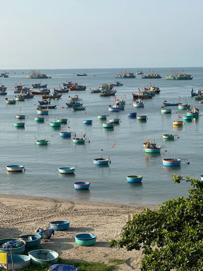 The image shows a beach with many boats. The boats closer to the shore are round and blue. Further out in the water are larger fishing boats. A sandy beach is on the right side of the image with green foliage. The sky is gray.