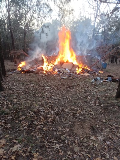 A large bonfire ablaze in a wooded area casts a warm glow, sending plumes of smoke into the sky. Trees surround the fire, framing the scene. The foreground is covered in fallen leaves, and a dog wanders near the fire's edge. The blaze consists of wooden debris and other combustible materials, creating an intense and uncontrolled fire.