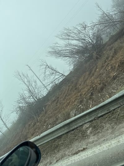 The image depicts a steep, earthen roadside embankment in Kovachevets, Bulgaria, observed under a uniformly overcast and foggy sky. The upper two-thirds of the frame are dominated by a pale grey, hazy atmosphere that significantly reduces visibility. The embankment, composed of brown soil and sparse, dry grass, ascends diagonally from the lower right towards the upper left. Numerous leafless deciduous trees and shrubs with dark, thin branches are rooted or fallen across the slope, their bare forms silhouetted against the mist. A wooden utility pole, supporting multiple overhead power lines, is visible on the middle-left section of the embankment. A two-bar metal guardrail, coated with a thin layer of dust or grime, runs horizontally across the lower foreground, separating the embankment from a partial view of a paved road. Tire tracks and a faint white line are discernible on the road surface below the guardrail. A portion of a vehicle's side mirror is visible in the bottom-left corner, indicating the perspective from inside an automobile. No individuals or active interactions are present in the scene.