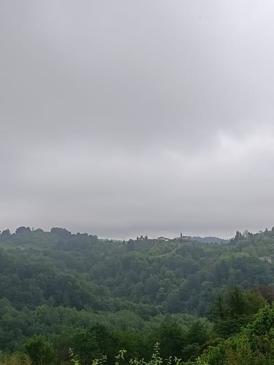 The image shows a landscape scene in Yuada-Gulrypsh, Abkhazia, under an overcast sky. The dominant feature is the lush green forest covering rolling hills. In the middle distance, some buildings can be seen atop a hill. The foreground contains vegetation that is closer to the viewer. The sky is uniformly grey, suggesting cloudy weather.