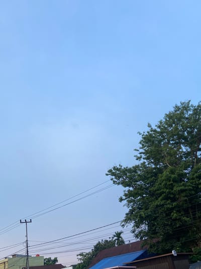 This is a vertical, eye-level, medium shot of a sky above a city in Air Molek II, Indonesia. The sky is a pale blue, with faint clouds. Power lines crisscross the scene, and a utility pole stands on the left. A large, leafy tree dominates the right side of the frame, its branches reaching into the sky. In the background, buildings and rooftops are visible, some with tin roofs and one with a blue tarp. The image appears to have been taken during daylight, likely in the late afternoon or early morning, given the soft lighting and the pale sky. No people or animals are visible in the frame.