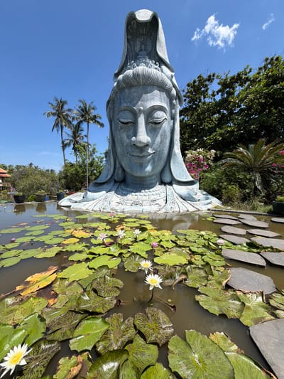 This is a vertical, eye-level, full shot of a large, serene statue of a deity, likely Guan Yin, resting in a pond filled with lily pads and water lilies. The statue is made of a light gray, weathered material and is depicted with closed eyes and a gentle smile, conveying a sense of peace and tranquility. The deity wears an elaborate headdress and ornate robes that drape around its body.

The pond itself is rich with life; numerous green lily pads float on the water's surface, some showing a mottled, darker pattern. Several white and pink water lilies are in bloom, adding pops of color to the scene. Large, flat, gray stepping stones are arranged on the water's surface, creating a path across the pond.

Behind the statue and pond, lush green foliage and palm trees are visible, suggesting a tropical or subtropical location. The sky above is a vibrant, clear blue with a few wispy white clouds. The lighting suggests it is daytime, likely morning or afternoon, with bright sunshine casting shadows. The overall atmosphere is one of calm and natural beauty, possibly in a temple garden or a similar spiritual or contemplative space. The location context provided indicates Hòa Đa, Vietnam. There is no visible text in the image.