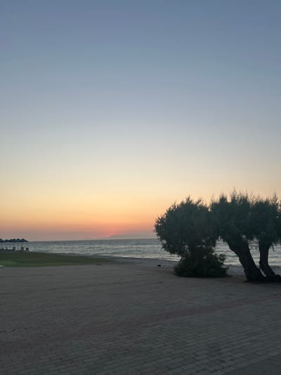 This is a vertical, outdoor, full shot of a beach scene at sunset. The sky transitions from a soft blue at the top to a warm orange and pink gradient near the horizon. A body of water, likely the sea, is visible on the right side of the image, with gentle waves. A paved walkway made of light-colored bricks runs parallel to the water.
Two trees with dark, textured trunks and bushy green foliage are prominent on the left side of the walkway, near the water's edge. The tree on the left has branches that arch over the walkway. A small patch of green grass is situated between the walkway and the beach. In the distance, along the shoreline, a few dark, low structures, possibly beach umbrellas or cabanas, are visible. The overall mood is serene and peaceful, suggesting a tranquil evening by the sea. The time of day is clearly sunset, indicated by the colors in the sky. The location context is Rhodes, Greece. No text is visible in the image.