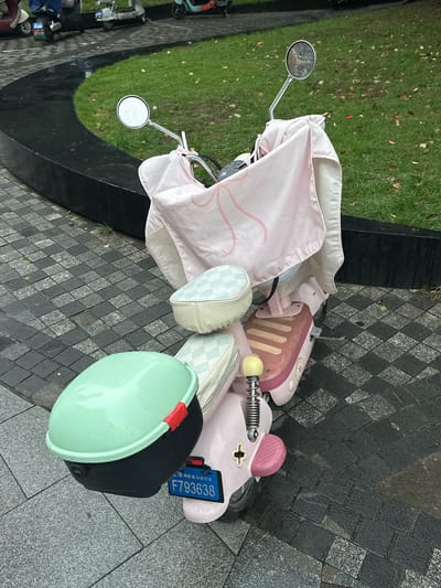 A light pink electric scooter with a mint green storage box is parked on a wet, patterned tile pathway in Yangpu District, China. The scooter is covered by a pink fabric with a light pink outline drawing of what appears to be a swan or flamingo. The scooter has two upholstered seats, one in front of the other, with a checkered blue and white pattern on the front seat. A license plate with the characters "F793638" is attached to the rear of the scooter. In the background, a grassy area with scattered fallen leaves and a curved black planter are visible. Several other scooters and a bicycle are parked further in the background. The ground is wet, suggesting recent rainfall.