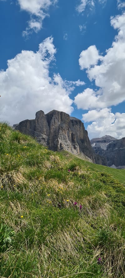 The image depicts a mountain landscape in Sëlva - Wolkenstein - Selva di Val Gardena, Italy. A large, imposing rock formation dominates the center of the frame, characterized by its sheer, gray cliffs and rugged texture. In the foreground, a grassy slope is covered with vibrant green grass, interspersed with patches of dry, straw-like vegetation. Small yellow wildflowers and a few purple flowers are scattered throughout the grass, adding pops of color to the scene. The sky above is a bright blue, filled with fluffy white clouds that cast shadows on the mountainside. In the background, other mountain ranges can be seen, with some peaks appearing snow-capped. The overall impression is one of a majestic and serene natural environment.