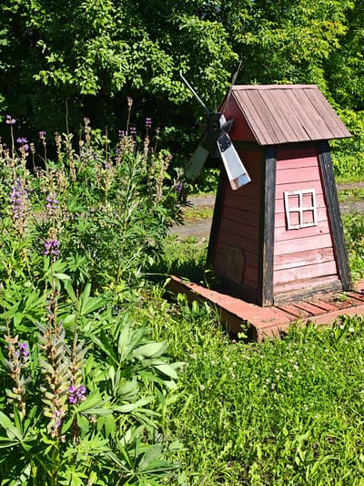 In a sunlit, outdoor setting, a miniature red wooden windmill with a brown roof stands amongst lush green foliage and blooming lupine flowers. The windmill, featuring a small white window and a decorative wooden door, is situated on a red wooden platform. Behind the windmill, a dense green canopy of trees suggests a natural or park-like environment. The ground is covered with a variety of green plants, including grass and clover, with a dirt path visible in the background. The image was taken on July 13, 2023, at 1:48 PM in Buy, Russia. There are no people present in the scene.