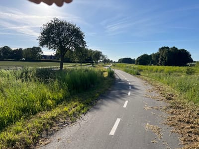 The image depicts a paved path with a white dashed line, curving through a rural landscape. On the left side of the path, there is lush green grass and a few trees, with a house visible in the distance. The path itself appears to be a cycle path or a walking trail, with some cut grass scattered along its edge on the right. Beyond the path on the right, more fields and trees stretch into the distance. The sky is a clear blue with a few wispy clouds, and the sun is casting long shadows, indicating it is either early morning or late afternoon. The overall impression is one of a peaceful, sunny day in the countryside. The location context suggests this scene is in Ringsted, Denmark. No text is visible in the image.