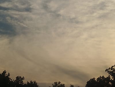 The image depicts a sky filled with soft, wispy clouds, illuminated by the warm, muted light of either sunrise or sunset. The lower portion of the frame is partially obscured by the dark silhouettes of trees, their branches reaching upwards. The scene appears to be an outdoor setting, likely in a natural or semi-natural environment given the presence of trees against the sky. There are no people or any explicit man-made structures visible in this particular frame, suggesting a focus on the atmospheric conditions and natural elements. Without further context, it is impossible to definitively place this scene within the city of Černý Dub, Czechia, as the image itself does not contain any recognizable landmarks or identifying features that would indicate a specific location.
