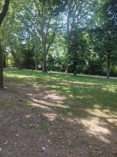 This is a medium shot of a park on a sunny day. The scene is dominated by large, mature trees with full, green canopies that cast dappled shadows on the grassy ground. In the foreground, there is a patch of bare earth covered with fallen leaves and twigs. Beyond this, a well-maintained lawn stretches towards a paved pathway. The pathway curves gently through the park, bordered by more trees and lush foliage. In the distance, glimpses of buildings suggest a suburban or urban park setting. The lighting indicates it is likely midday, with the sun high in the sky. There are no people or specific objects of interest visible, only the natural elements of the park. The overall impression is one of a peaceful, green space, ideal for a leisurely stroll or relaxation. The location is identified as Bielsko-Biała, Poland.