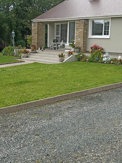 The image captures a well-maintained front yard of a house in Annagry, Ireland. The house, painted a light grey, features a prominent stone-clad porch supported by two square pillars. A set of concrete steps leads up to the porch, where a white table and chairs are visible. The porch roof is a dark brown shingle. To the left of the porch, a blue birdhouse on a pole stands amongst various flowering plants.
The front yard is primarily composed of a lush green lawn dotted with small white flowers, likely clover. A paved pathway and a concrete border separate the lawn from a gravel driveway in the foreground. The driveway is covered in grey, small-to-medium sized stones. Decorative elements, including garden gnomes, ceramic mushrooms, and a white, stylized tree sculpture, are scattered throughout the flower beds bordering the porch and steps. The background is filled with mature green trees. The scene suggests a peaceful and tidy residential setting.