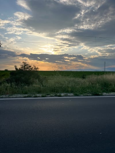 The image displays a vertically oriented rural landscape, captured during either sunrise or sunset. A dark asphalt road with a distinct white edge line occupies the foreground on the right side of the frame (when viewed horizontally). Adjacent to the road, a strip of unkempt grass and weeds transitions into vast green agricultural fields that extend towards a flat horizon.
In the midground, a cluster of trees and shrubs is silhouetted against the bright sky. Further in the distance, a tall electricity pylon stands prominently on the horizon, to the left. The sky is a dominant feature, filled with a dramatic display of clouds. Golden light, characteristic of the sun's low position, radiates from behind partially obscured clouds on the horizon, illuminating their edges with warm hues. Overhead, darker grey clouds create a contrast. Thin power lines traverse the upper portion of the sky.
No people or discernible text are present in the scene. The overall atmosphere is serene and expansive, depicting a typical agricultural region, consistent with the provided location context of Kaloyanovo, Bulgaria.