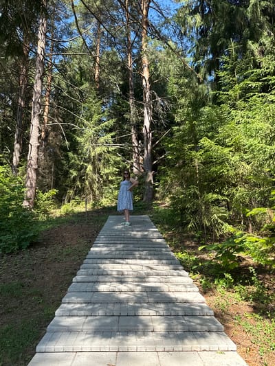 A young woman wearing a blue and white patterned dress and light-colored sandals stands on a set of concrete stairs in a forest. She is facing away from the camera, with her right hand on her hip. The stairs are bordered by dense green trees and foliage, with a clear blue sky visible through the canopy. The scene is lit by sunlight, creating shadows on the stairs.
