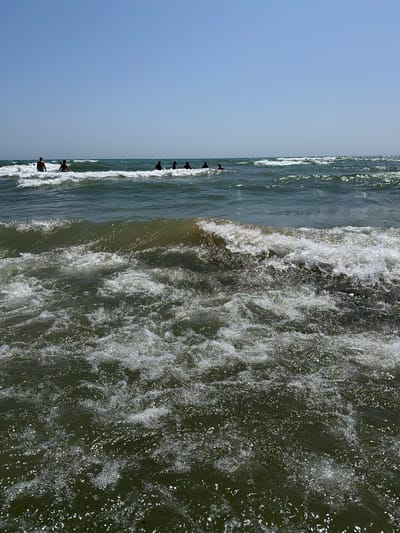 The image depicts a bright, sunny day at a beach with a clear blue sky. The foreground is dominated by the choppy, dark green water of the ocean, with white foam and sparkling sunlight reflecting off the surface. In the mid-ground, several people are visible in the water, appearing as dark silhouettes against the brighter waves and the horizon. They seem to be standing or wading in the surf. The background shows a calm, distant horizon line where the water meets the sky. The scene suggests a recreational activity, likely swimming or enjoying the ocean on a warm day. The location is identified as Wainfleet, Canada, though specific landmarks or city features are not apparent in the image.