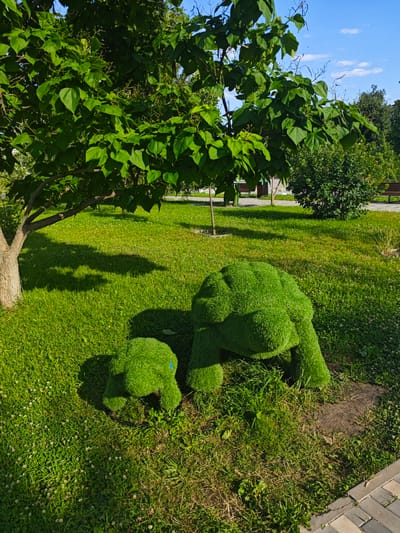 Two topiaries shaped like turtles, one large and one small, are situated on a grassy area in Novyy Oskol, Russia. The larger topiary is in the foreground, to the right, and the smaller one is to its left. Both are covered in green, artificial turf, giving them a vibrant, plush appearance. They are positioned on a patch of ground that appears slightly disturbed, with some exposed soil and a dark circular base visible beneath the larger topiary. A shadow from a large tree with green leaves falls across the grass to the left of the topiaries. In the background, a paved walkway with stone bricks is visible, with benches and more green trees and bushes lining it. The sky above is blue with scattered white clouds, indicating a clear, sunny day.