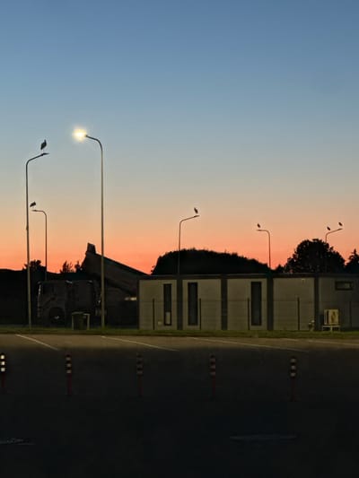 At dusk in Kampiškiai, Lithuania, a desolate parking lot is bordered by a low, modern building and a fence. The sky transitions from a deep blue to a vibrant orange and pink. Several streetlights illuminate the scene, with storks perched on two of them. To the left, a large dump truck is parked with its bed raised. In the foreground, red and white striped bollards mark the parking spaces. The overall atmosphere is quiet and still, characteristic of early evening in a rural setting.