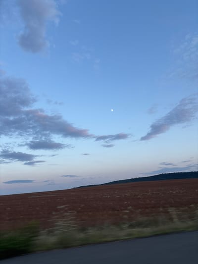 This is a vertical, eye-level shot taken outdoors during the daytime, showing a landscape scene. The sky, occupying the top two-thirds of the frame, is a pale blue with scattered white and gray clouds. The moon, a thin crescent, is visible in the upper center. The bottom third of the image depicts a large, reddish-brown field that slopes gently upwards. The field appears to be either fallow or planted with a low-lying crop, with some sparse green vegetation along its edge closest to the viewer. A dark gray asphalt road runs along the bottom edge of the frame, suggesting the image was taken from a moving vehicle. In the distance, a tree-covered hill forms a dark green line against the horizon. The overall lighting suggests either early morning or late afternoon. The location is identified as the city of Zheleznik, Bulgaria.