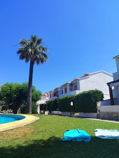 The image depicts a sunny day in Els Poblets, Spain, with a clear blue sky dominating the upper portion. In the foreground, a well-maintained green lawn is visible, with two beach towels, one turquoise and one light blue, laid out on the grass. To the left, the curved edge of a bright blue swimming pool is visible, lined with a beige border. A tall palm tree stands prominently in the mid-ground, its fronds reaching towards the sky. Behind the palm tree and to the right, a row of white residential buildings with terracotta tiled roofs is situated. These buildings feature wooden shutters on the windows and air conditioning units. A neatly trimmed green hedge runs along the front of the buildings. The overall scene suggests a residential area or resort with amenities for relaxation and recreation.