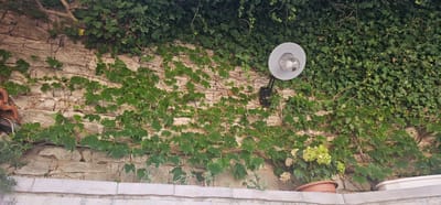 This image depicts a stone wall covered in ivy and vines, located in Općina Pučišća, Croatia. A modern outdoor light fixture with a white shade and clear glass cover is mounted on the wall, emitting light from a visible bulb. In the lower right section of the image, a potted plant with clusters of light green flowers is placed on the wall's ledge. Another white container is visible to the right of the potted plant. The wall is constructed from irregularly shaped stones, and parts of the stone are exposed through the foliage. The top of the image is densely covered with ivy, creating a lush green canopy. The lower edge of the image shows a light-colored, tiled ledge or border. No people are visible in the scene.