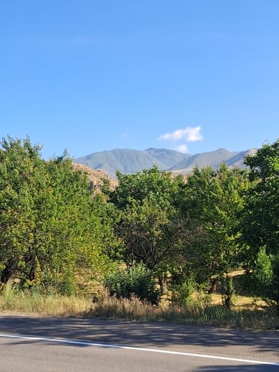 The image shows a roadside view with lush green trees in the foreground and mountains in the background under a clear blue sky. The location is identified as Malishka, Armenia. A paved road with a white line runs along the bottom of the frame, with dry grass and vegetation lining its edge. The trees are dense and leafy, with some bare branches visible. The mountains in the distance are a muted green and brown, with some rocky outcrops. A small, wispy cloud is present in the sky above the mountains. There are no people or animals visible in the scene. The overall impression is a natural, serene landscape.