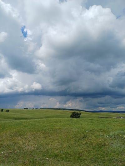 A landscape view shows rolling green hills under a dramatic sky with dark, heavy clouds. In the distance, a line of trees forms the horizon. A few isolated trees are scattered across the hills. A small, indistinct structure is visible in the far right background. The foreground is a field of green grass with some patches of dry vegetation. The overall impression is of a vast, open space on a potentially stormy day.