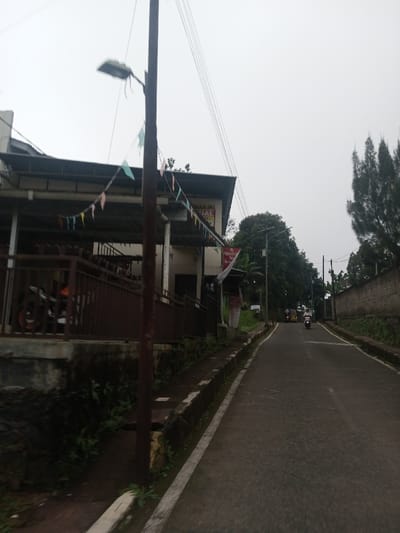 A road stretches into the distance with a motorcycle in the distance. A building with a dark metal railing and a row of small colored pennants sits to the left of the road, with a pole obstructing the view. Dense trees line the right side of the road behind a concrete wall. The sky is overcast.