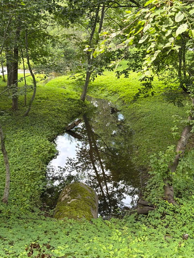 The image depicts a small, meandering stream in a densely vegetated area. The stream is surrounded by lush green ground cover and trees with abundant foliage, creating a dappled light effect. The water's surface reflects the sky and surrounding trees. In the foreground, a large, moss-covered boulder is partially submerged at the edge of the stream. Further along the stream, a fallen log can be seen. The scene appears to be a natural setting within or near the city of Tēraudi, Latvia. There are no people or animals clearly visible in the image. The overall impression is one of a serene and overgrown natural environment.