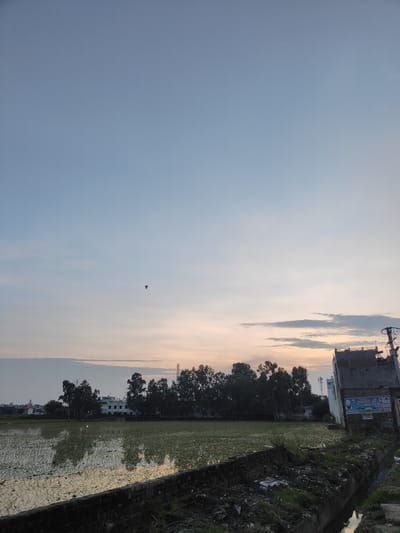 The image depicts a serene rural landscape in Sitarganj, India, during what appears to be twilight or early dawn. The sky is a gradient of pale blue, transitioning to soft hues of orange and pink near the horizon, with a few wispy clouds. A solitary bird is visible in flight in the upper portion of the sky.
In the middle ground, a line of tall, slender trees forms a natural boundary, behind which a white, multi-story building with several windows is situated. The reflection of these trees and the building can be seen on the surface of a flooded field in the foreground. The field is covered with young green plants, suggesting it is a paddy field or a similar agricultural setting.
To the right of the image, a two-story structure with a rough, textured facade is prominent. A pole with electrical wires is attached to its side, and a sign with text and images is affixed to the building. In front of this building, a narrow, murky channel of water runs along the edge of the field, filled with debris and vegetation. The ground around the channel is uneven and appears unkempt. The overall impression is one of a tranquil, agricultural area on the outskirts of a town, with signs of human habitation and infrastructure present.