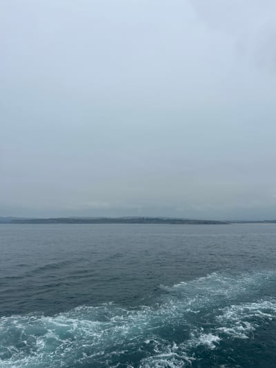 The media file depicts a view of the ocean from a moving vessel. The image is oriented vertically. On the right side of the frame, turbulent blue water with white foam churns, indicating the wake of the vessel. To the left of the wake, the sea is calmer and a darker shade of blue-grey, with subtle ripples on the surface. The horizon line is visible in the distance, where the sea meets the sky.
The sky is overcast and a pale, hazy grey, suggesting either a cloudy day or early morning/late evening light. The low visibility in the sky obscures any clear details of the distant landmass on the horizon, though a faint, elongated shape suggests a coastline. The overall atmosphere is serene and vast, with the dominant subjects being the ocean and the sky. There are no people or specific objects visible in the frame, emphasizing the natural landscape. The location context of Ribamontán al Mar, Spain, places this scene along the coast of Cantabria, known for its maritime environment. The time of day appears to be either dawn or dusk due to the muted light and overcast conditions. The scene evokes a sense of quiet movement and the expansive nature of the sea. No text is visible in the media file.