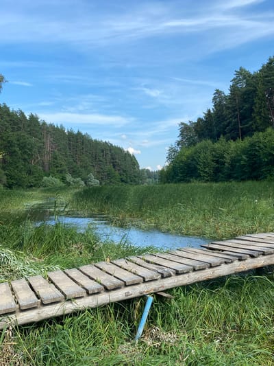 A wooden footbridge crosses a narrow, calm body of water bordered by lush green reeds and tall trees under a bright blue sky with wispy clouds. The footbridge is constructed from weathered planks laid across a thick log, and a blue pipe is visible supporting one end. Dense forest lines the far bank of the water, with a variety of trees, including pines. The scene appears to be located in Yal'chik, Russia.