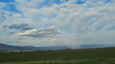 The image shows a rural landscape near Osetenovo, Bulgaria. A green field occupies the foreground, with clusters of small white flowers scattered at the very bottom. Beyond the field is a flat expanse, possibly a valley or plain, leading to a range of mountains in the distance. The mountains are varied in height and color, appearing in shades of gray and brown. Some appear to have wind turbines along their ridge. Overhead, the sky is predominantly blue, but filled with white and gray clouds of varying shapes and sizes.
