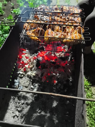 A high-angle medium shot shows chicken cooking on a grill over glowing red coals in a charcoal grill. The grill is black metal, and the chicken is in a wire rack. The background is dark with some out-of-focus green foliage, possibly grass and plants. The scene appears to be outdoors, likely in a backyard or park area in Il'mino, Russia. There is a partial view of a person's dark clothing on the right side of the image.