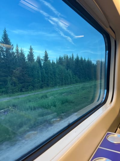 The image, captured from inside a train, shows a view through the window. The window frames a scene of a dense, dark green forest lining the edge of a grassy field. A gravel path or road runs parallel to the forest. Above the trees, a bright blue sky is visible, dotted with thin, wispy white clouds, some of which appear as streaks due to motion blur. The interior of the train is partially visible in the foreground, with a light-colored frame around the window and a glimpse of a purple seat or table with silver accents. The overall impression is of a journey through a rural, forested landscape in the late afternoon or early evening, possibly in or around Pedersöre, Finland.