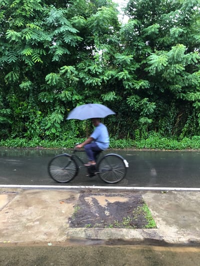 This media file depicts a person cycling on a wet asphalt path, holding a light-colored umbrella. The scene is lush with dense green foliage on the left, suggesting a natural or park-like setting. The path appears to be an outdoor track or road, with a concrete border on the right. The ground is wet, indicating it is raining or has recently rained, and puddles are visible on the concrete. The overall mood is somewhat subdued, possibly due to the overcast weather. The time of day is not explicitly indicated, but the lighting suggests it could be daytime. The motion blur of the bicycle and the person indicates movement. There is no visible text in the image. This scene is consistent with the rural environment of Kodagoda, Sri Lanka, where such weather conditions and greenery are common.