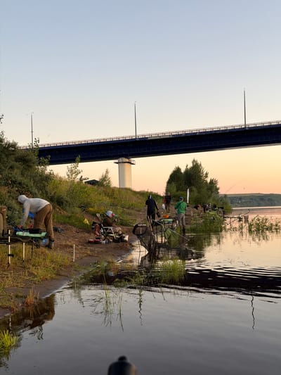 In Tarasovo, Russia, at sunset, a group of individuals are fishing from the bank of a wide river. A large blue bridge with white supporting pillars spans the horizon. The bank is covered in sand, grass, and low-lying bushes. Several fishing rods are set up, with nets and tackle boxes visible. One person in a grey hooded sweatshirt is tending to fishing gear on a portable table. Another person is seated in a folding chair, holding a fishing rod. The water reflects the soft colors of the sunset and the surrounding environment.