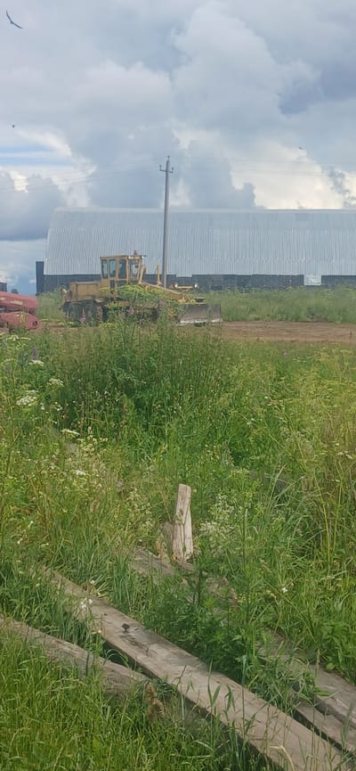 A yellow grader machine is parked in a grassy area with a large, corrugated metal building in the background. The grader is positioned in front of the building, partially obscured by tall grass and vegetation. A power line pole is visible to the right of the grader. In the foreground, there are several weathered wooden planks lying on the ground, also surrounded by grass. The sky above is cloudy. The location is identified as Pachi, Russia.