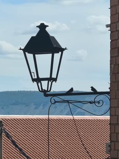 The image presents an outdoor scene, likely in Fontanarejo, Spain, dominated by a large, black, ornate lamppost silhouetted against a bright, partly cloudy blue sky. The lamppost features a traditional lantern design with a pointed top and intricate wrought iron support structures. Two small, dark birds are perched on its horizontal support arm, one on the left and one on the right, facing each other.
To the right, a brick wall anchors the lamppost, while below it, a terracotta-tiled rooftop extends across the lower portion of the frame, showing neat, parallel rows of reddish-brown tiles. Several black electrical wires are visible, tangled around the lamppost's support and extending down past the roofline. In the background, a distant natural landscape of rolling hills or mountains appears in shades of muted blue, contrasting with the vibrant sky above.
The scene depicts a peaceful daytime setting, indicated by the bright, clear lighting and the presence of scattered white clouds. There are no people visible, and the activity is limited to the birds resting on the lamppost. No visible text is present. The architectural elements and natural landscape suggest a calm, perhaps traditional, European village or town environment.