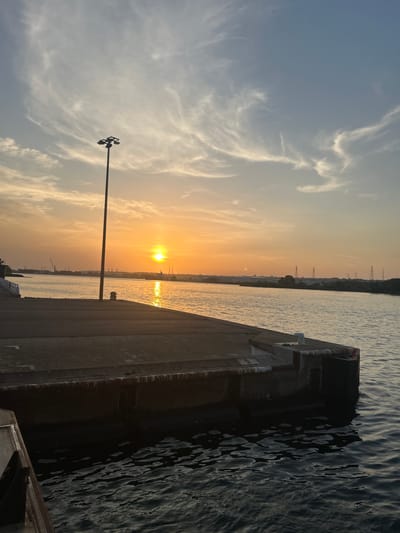 This media file depicts a serene sunset over a body of water, likely a river or a harbor, in Gonfreville-l'Orcher, France. The sun is low on the horizon, casting a warm orange and yellow glow across the sky and reflecting on the rippling water. Wispy clouds, tinged with the sunset colors, drift across the pale blue sky.
In the foreground, a concrete walkway or pier occupies the right side of the frame, leading the eye towards the horizon. A dark, textured surface, possibly part of a structure or a boat, is visible at the edge of the walkway, where it meets the water. To the left of the walkway, a tall, slender pole with multiple lights at its top stands sentinel, a common feature in maritime or industrial settings.
Across the water, the distant shoreline is visible, lined with trees and punctuated by what appear to be electrical pylons and some buildings, suggesting an industrial or urbanized area. The overall mood is peaceful and contemplative, capturing the tranquil beauty of a coastal sunset. The time of day is clearly evening, as indicated by the sunset. The weather appears to be clear, allowing for an unobstructed view of the sun and sky. No visible text is present in the image.